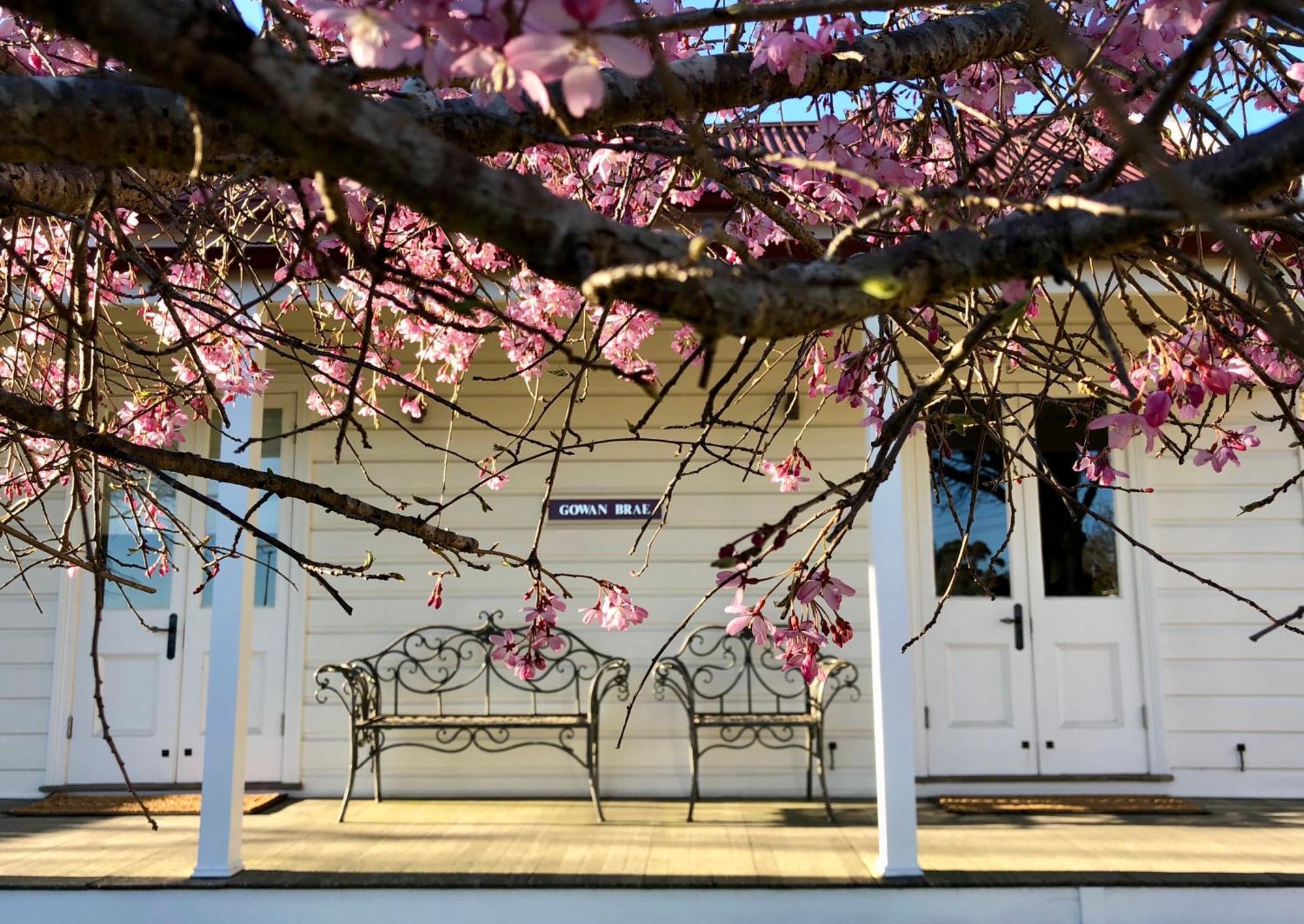 Gowan Brae Cottage Katoomba Esterno foto
