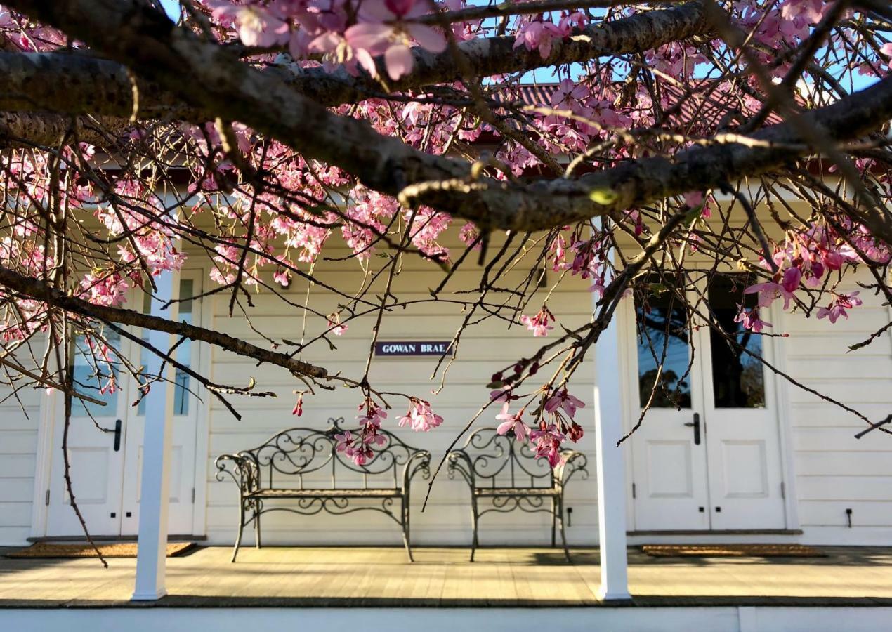 Gowan Brae Cottage Katoomba Esterno foto